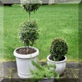 L12. Planters. 